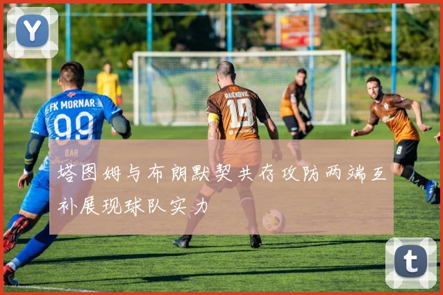 塔图姆与布朗默契共存攻防两端互补展现球队实力